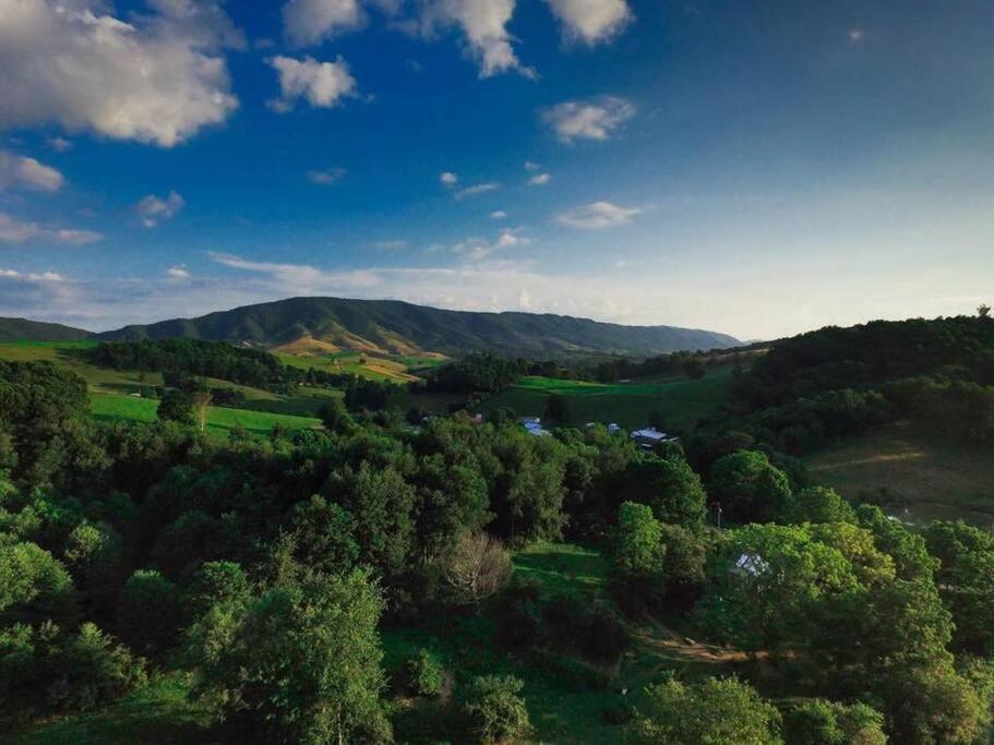 Foxtail Orchards - The Fox Den Villa Tazewell Exterior foto